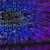 Software Bugs Are Fueling Today&rsquo;s Cyber Threats